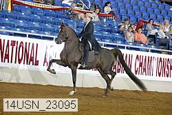 14usn_23095 proof
