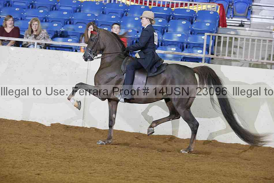 Proof 14usn_23096