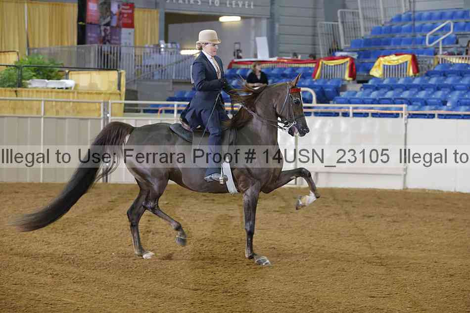 Proof 14usn_23105