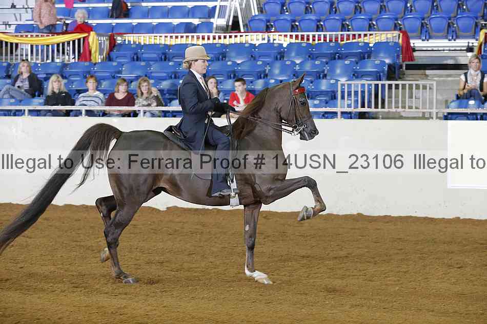 Proof 14usn_23106