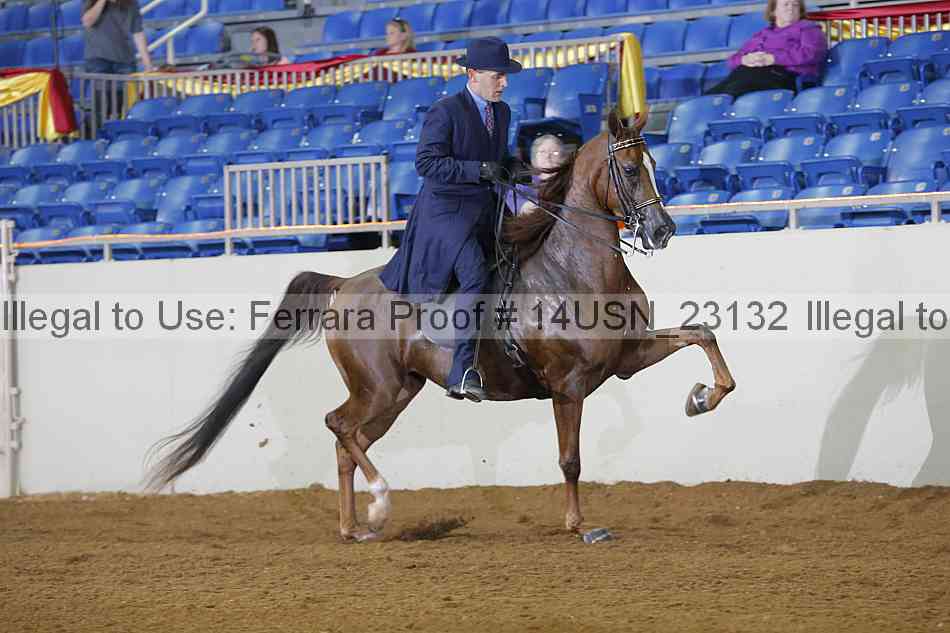 Proof 14usn_23132