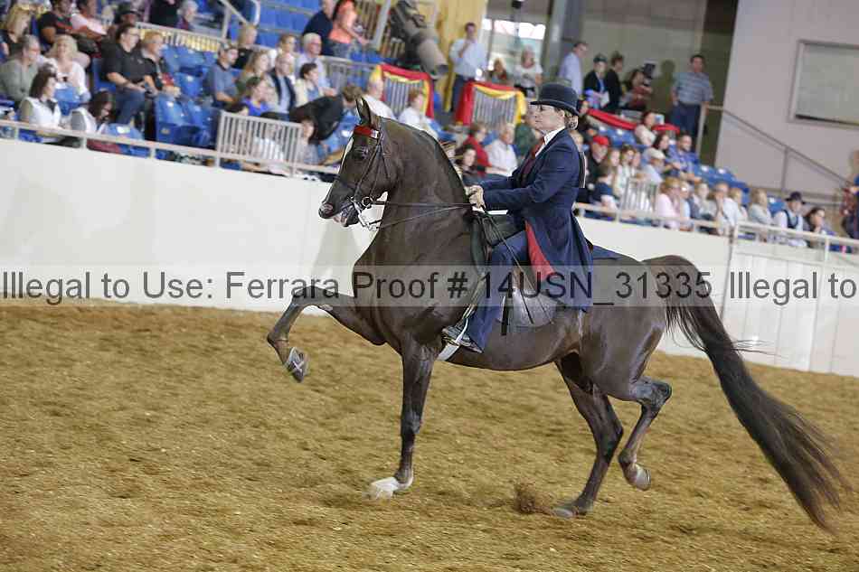 Proof 14usn_31335