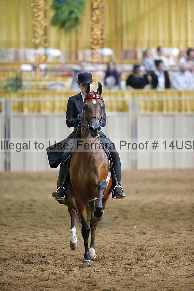 Proof 14usn_31340