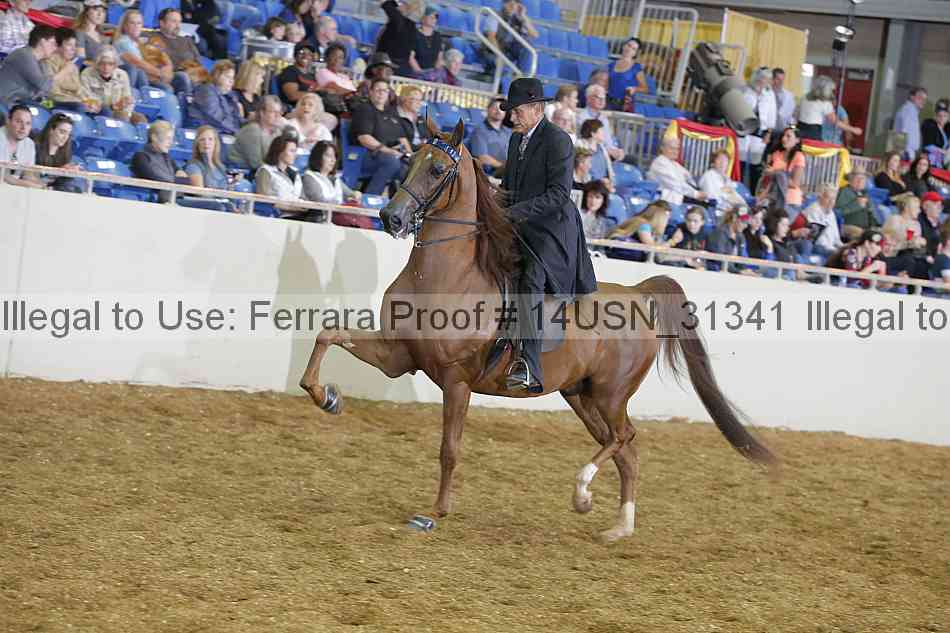 Proof 14usn_31341