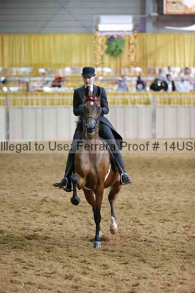 Proof 14usn_31342