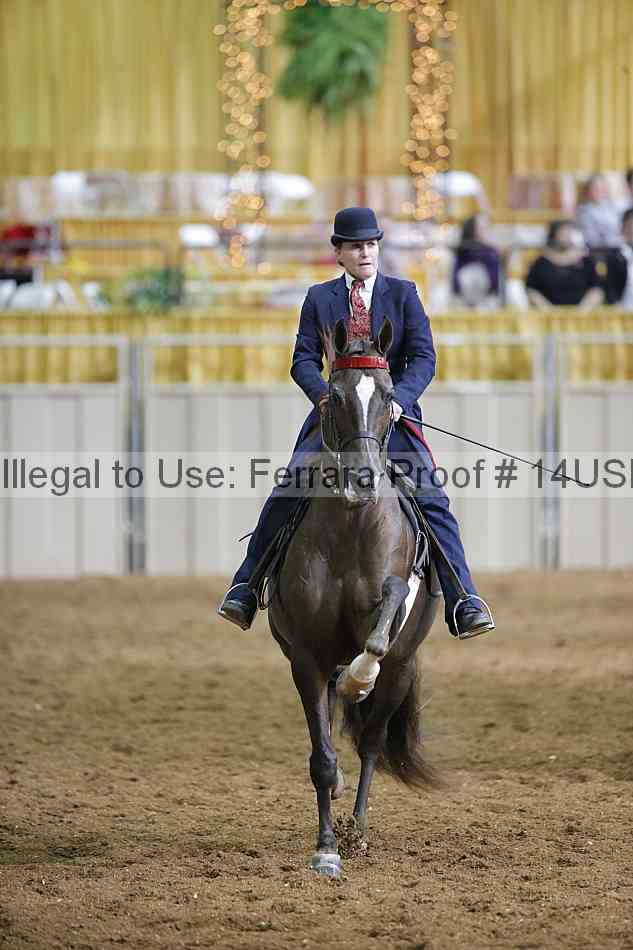 Proof 14usn_31344
