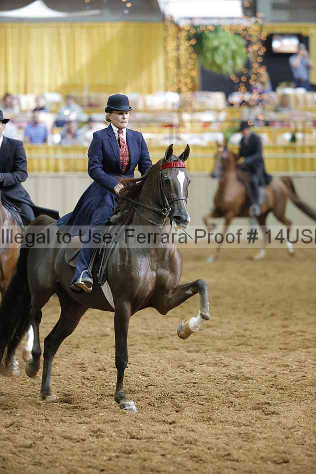 Proof 14usn_31345