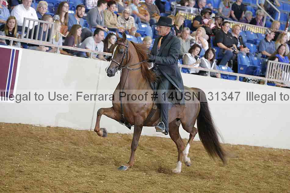 Proof 14usn_31347