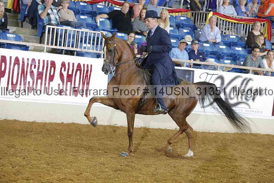 Proof 14usn_31351