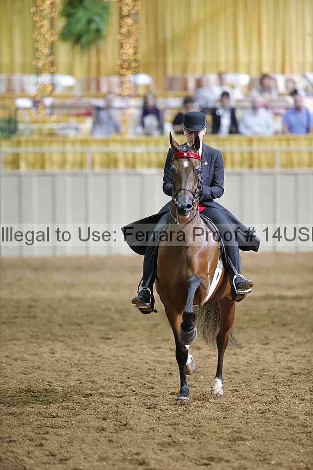 Proof 14usn_31354