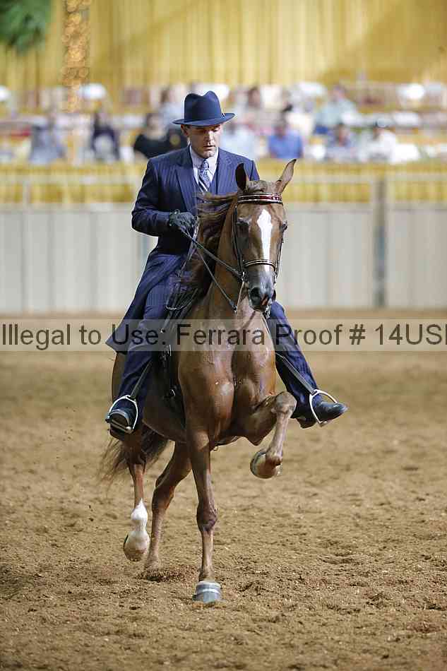Proof 14usn_31355