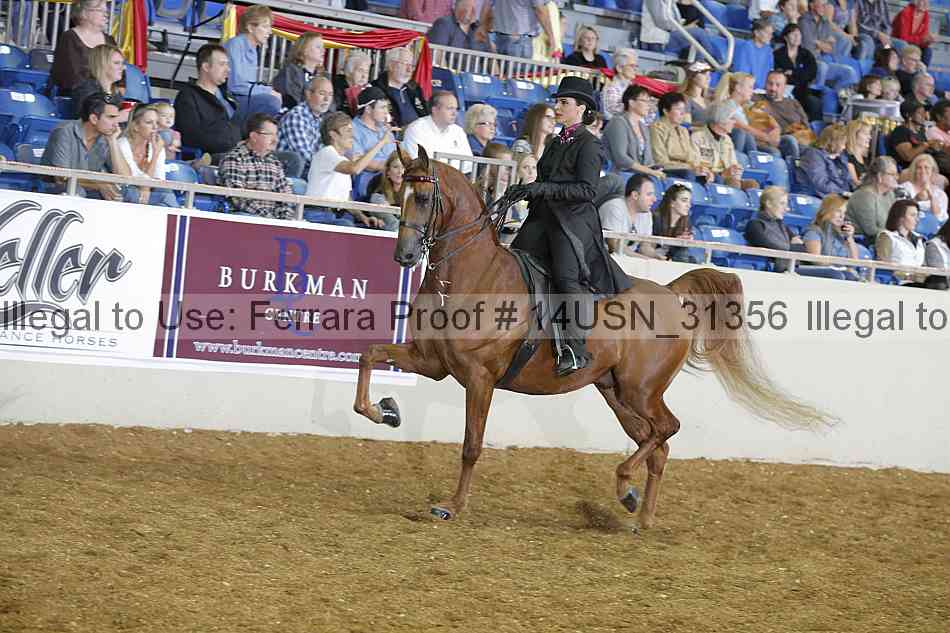 Proof 14usn_31356