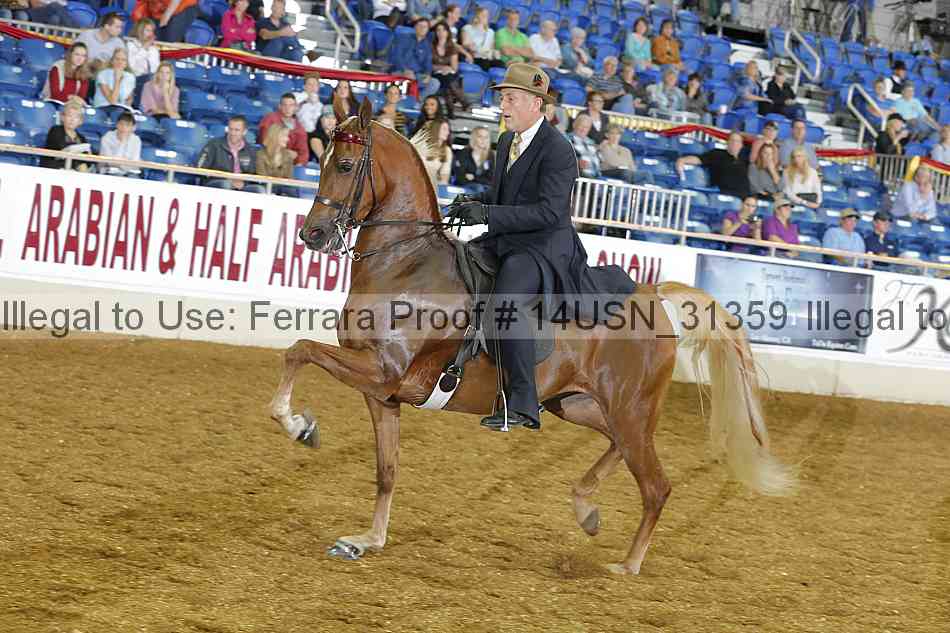 Proof 14usn_31359