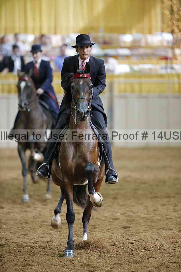 Proof 14usn_31361