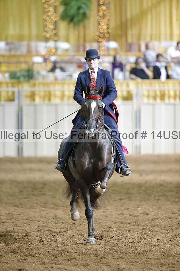 Proof 14usn_31374