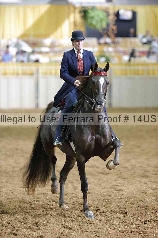 Proof 14usn_31375