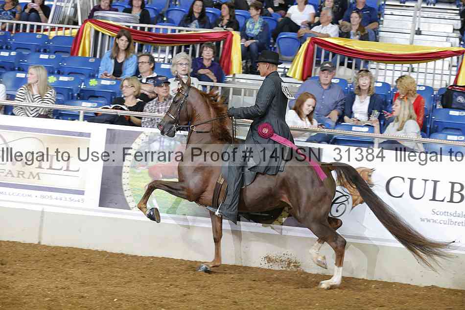 Proof 14usn_31384