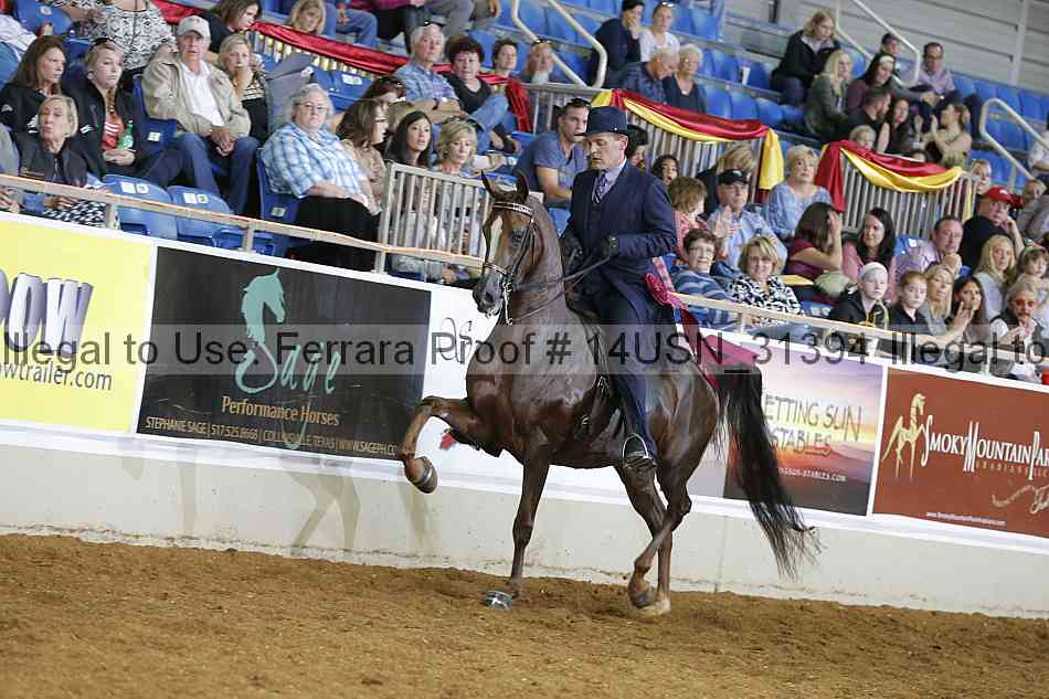 Proof 14usn_31394