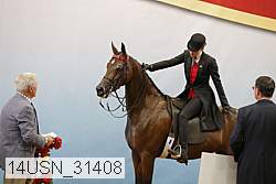 14usn_31408 proof