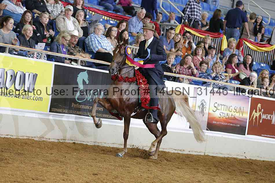 Proof 14usn_31446