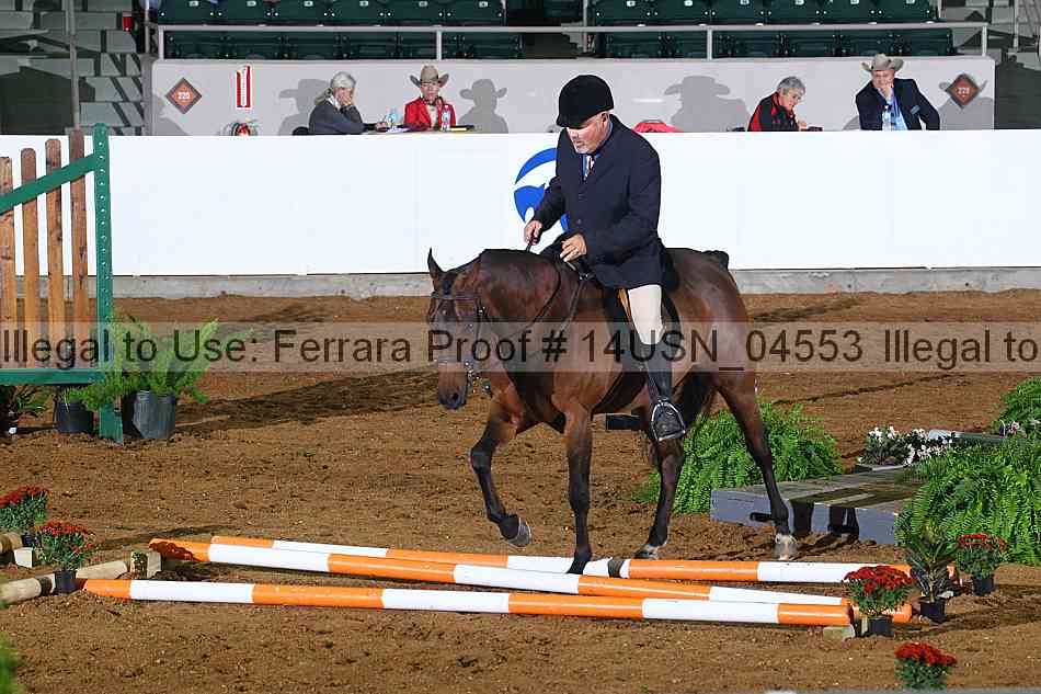Proof 14usn_04553