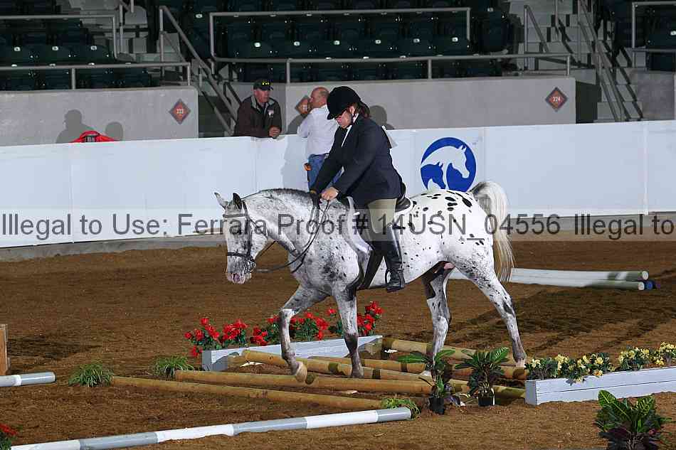 Proof 14usn_04556