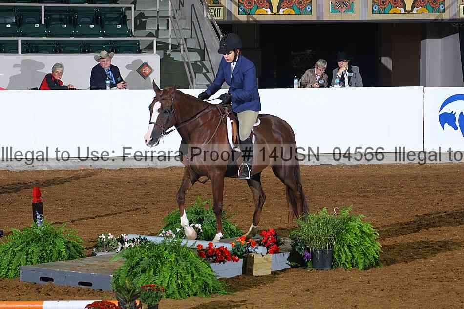 Proof 14usn_04566