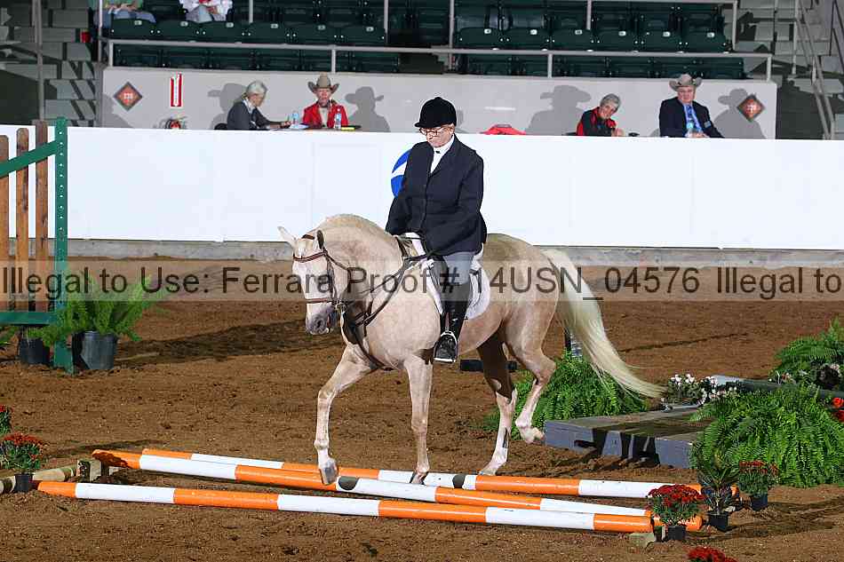 Proof 14usn_04576
