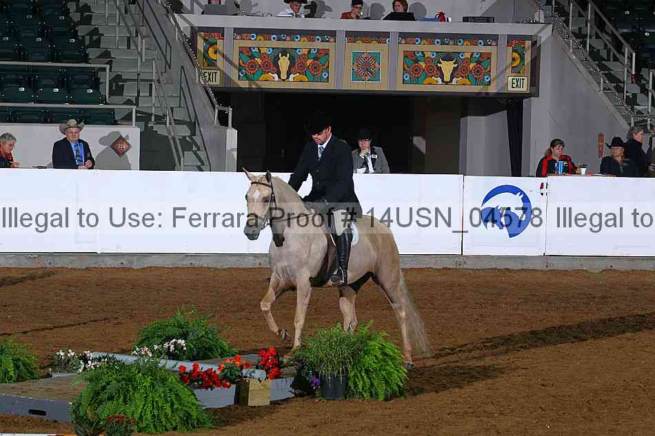 Proof 14usn_04578