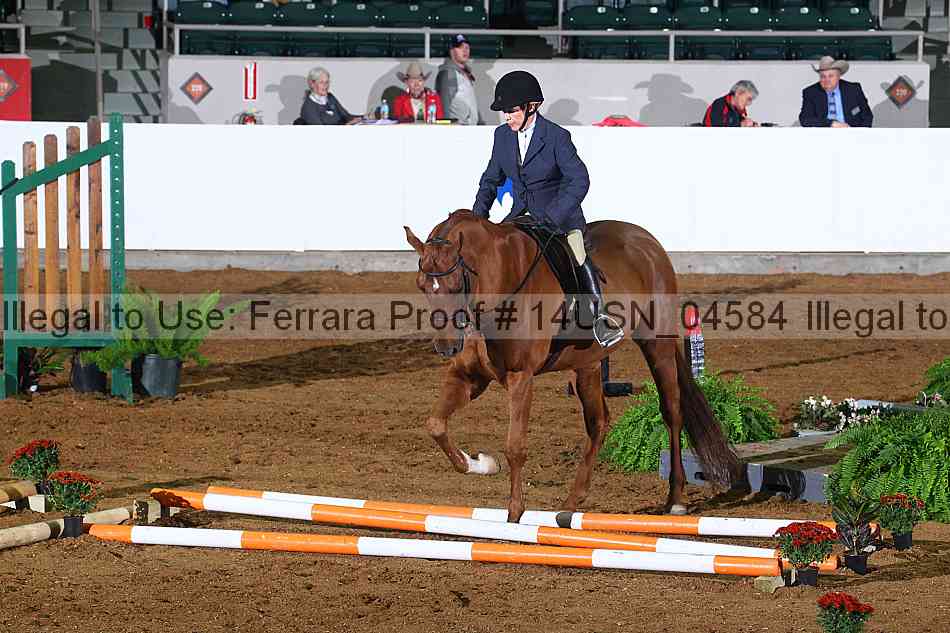 Proof 14usn_04584