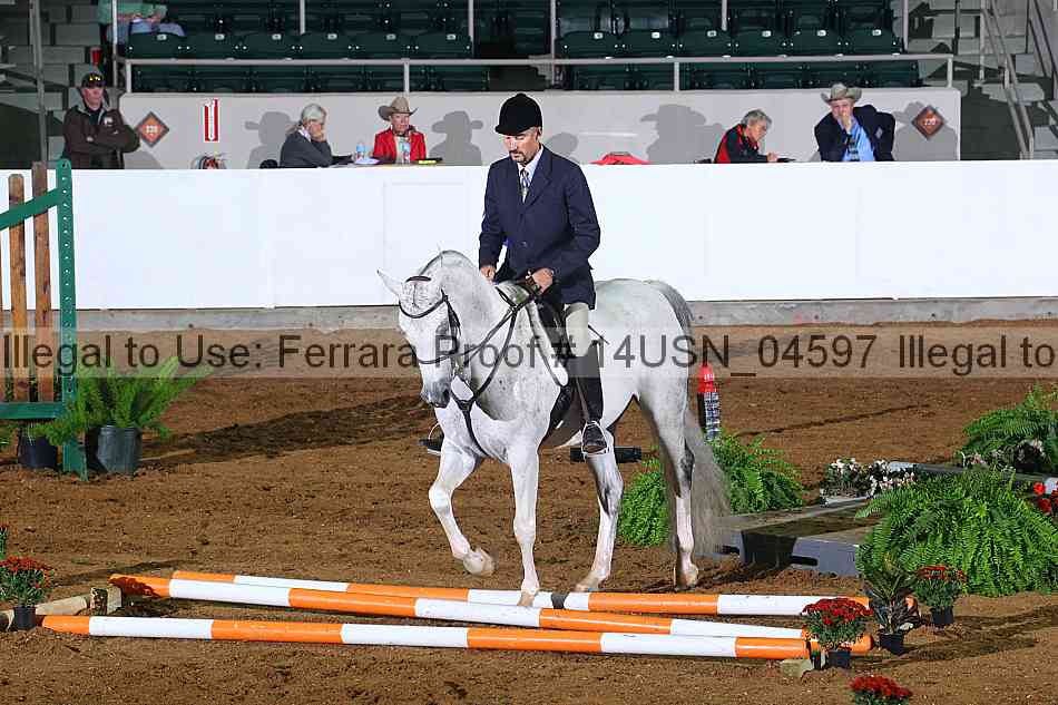 Proof 14usn_04597
