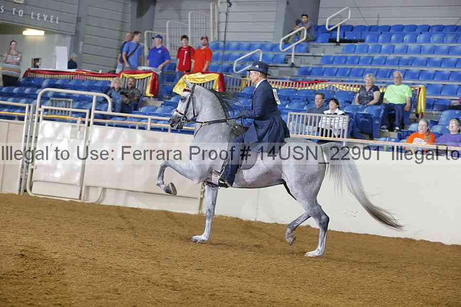 Proof 14usn_22901