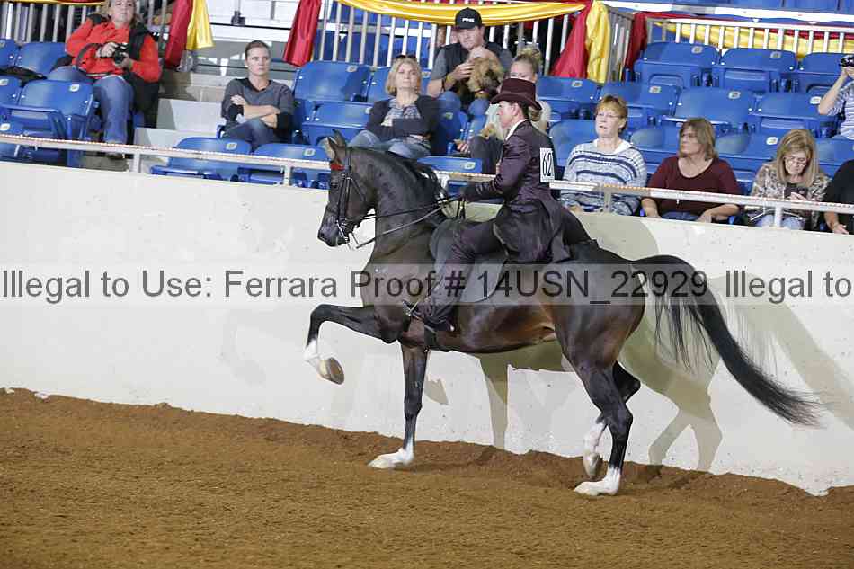 Proof 14usn_22929