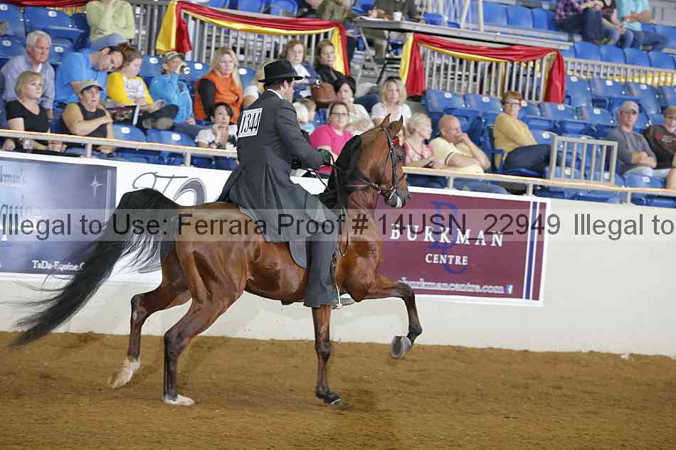 Proof 14usn_22949