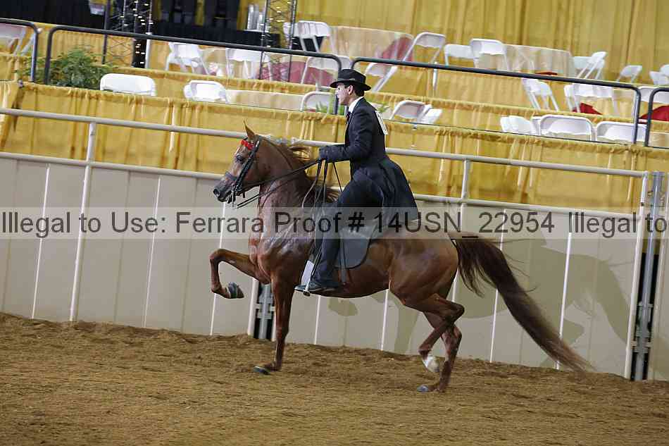 Proof 14usn_22954
