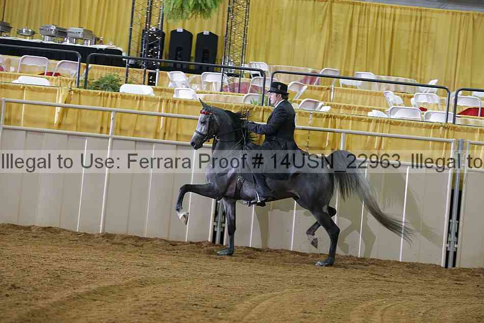 Proof 14usn_22963