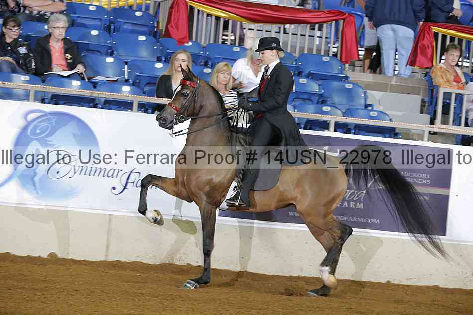 Proof 14usn_22978