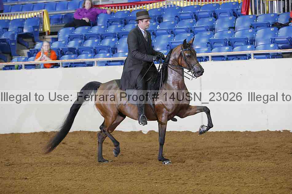 Proof 14usn_23026