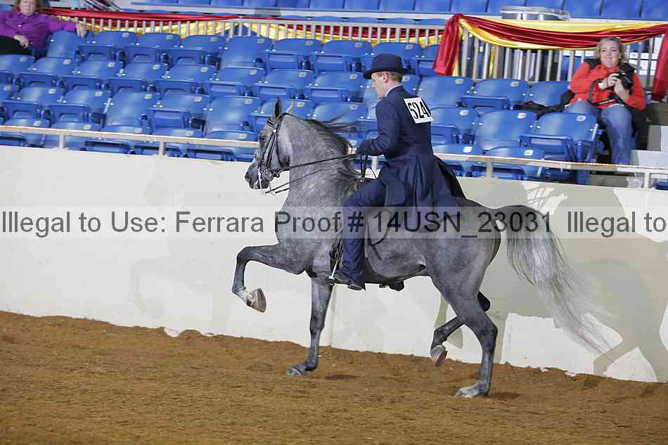 Proof 14usn_23031