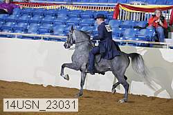 14usn_23031 proof