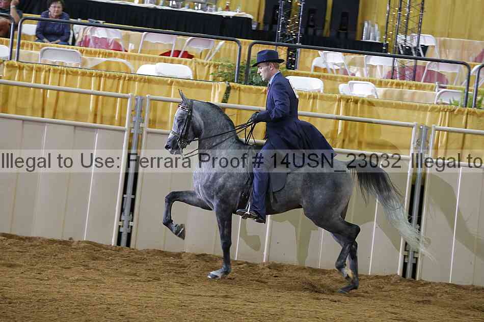 Proof 14usn_23032