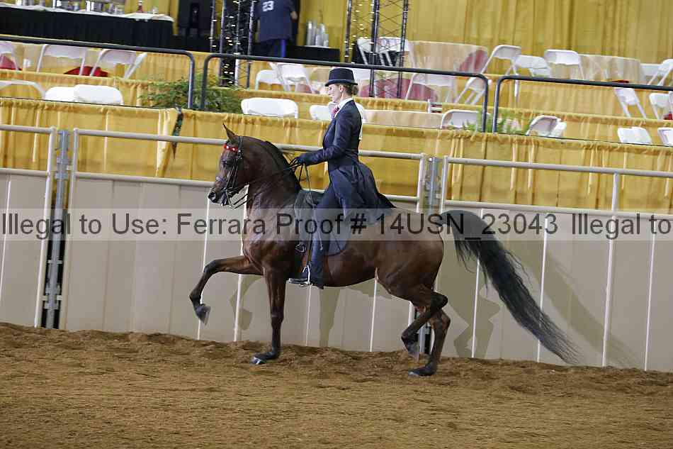 Proof 14usn_23043