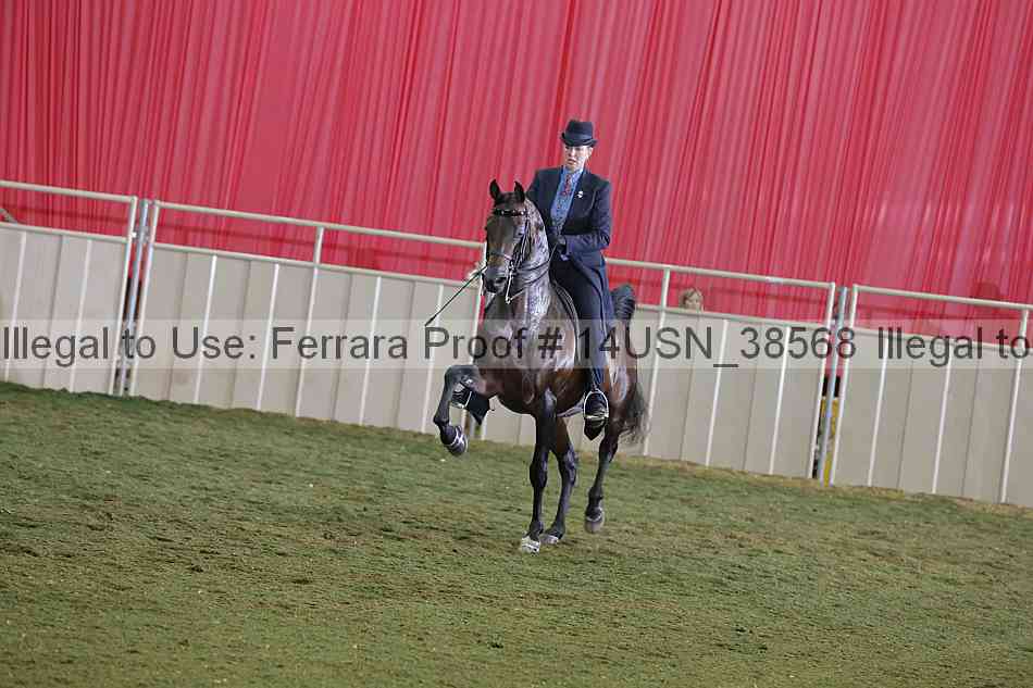 Proof 14usn_38568