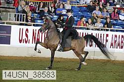 14usn_38583 proof