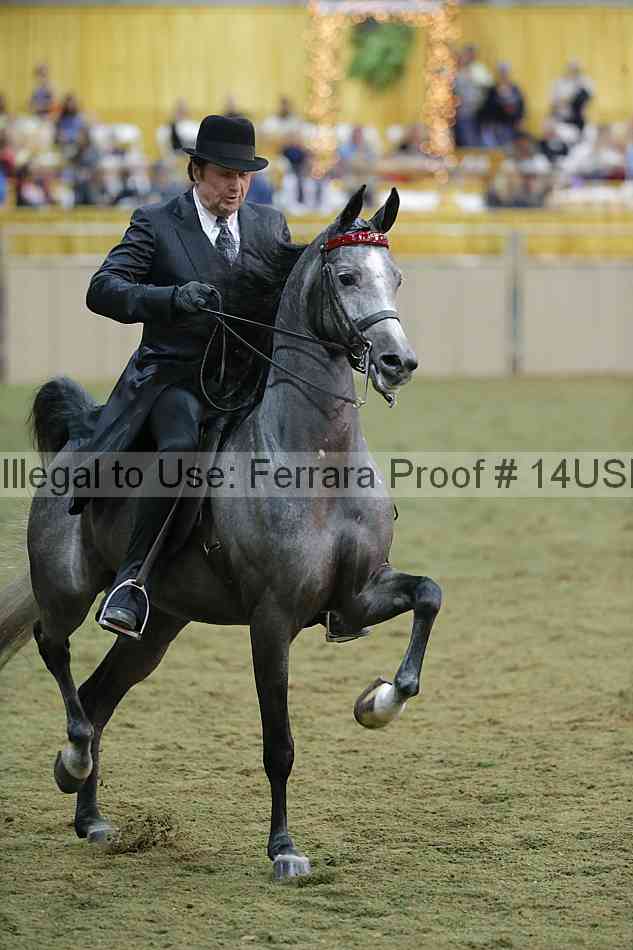 Proof 14usn_38599