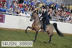 14usn_38608 proof