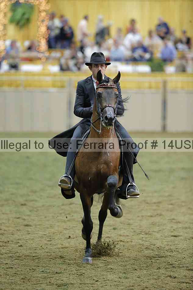 Proof 14usn_38618