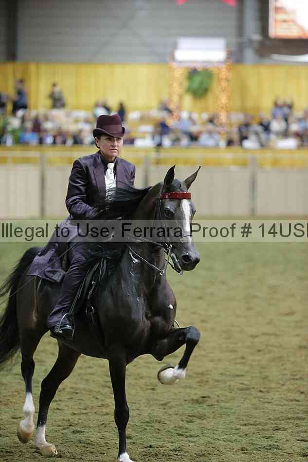 Proof 14usn_38710