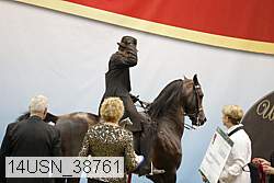 14usn_38761 proof