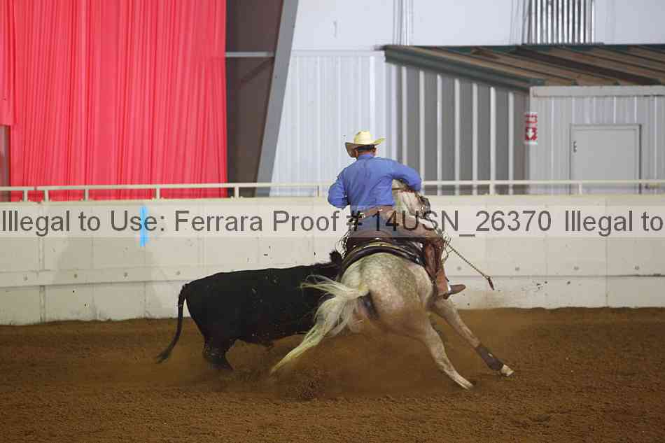 Proof 14usn_26370
